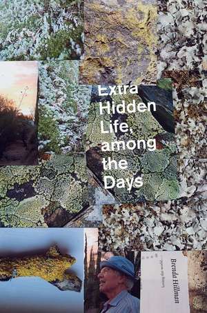 Extra Hidden Life, Among the Days de Brenda Hillman