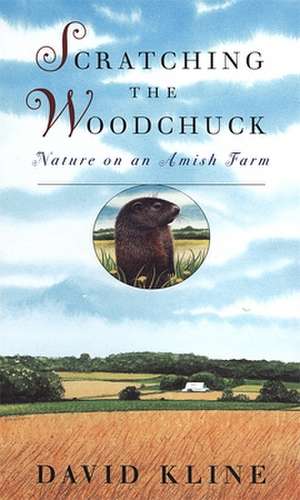 Scratching the Woodchuck de David Kline