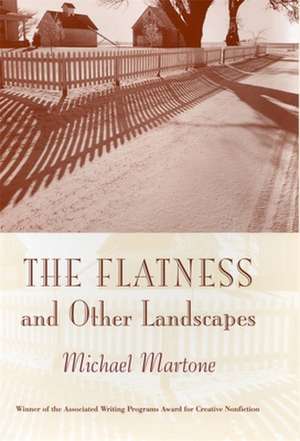 Flatness and Other Landscapes de Michael Martone