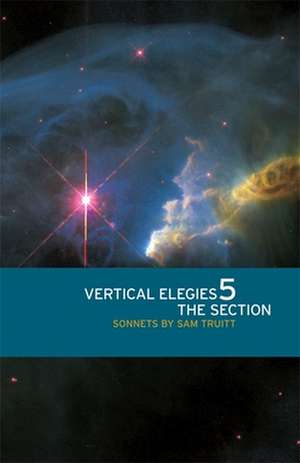 Vertical Elegies 5: Sonnets de Sam Truitt