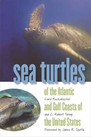 Sea Turtles of the Atlantic and Gulf Coasts of the United States de Carol Ruckdeschel