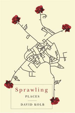 Sprawling Places de David Kolb