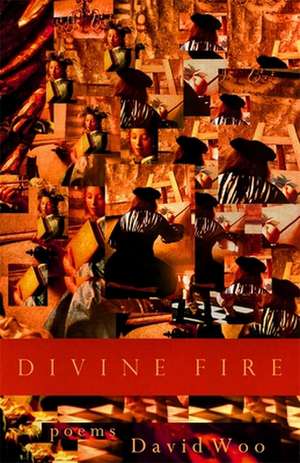 Divine Fire de David Woo