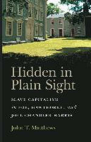 Hidden in Plain Sight de John T Matthews