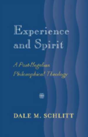 Experience and Spirit de Dale M. Schlitt