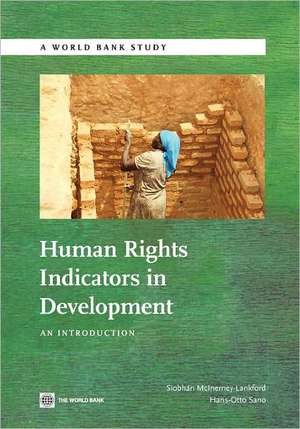 Human Rights Indicators in Development: An Introduction de Siobhan McInerney-Lankford