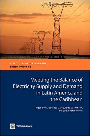 Meeting the Balance of Electricity Supply and Demand in Latin America and the Caribbean de Rigoberto Ariel Yepez-Garcia