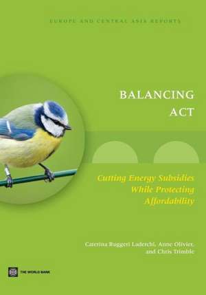 Balancing Act: Cutting Energy Subsidies While Protecting Affordability de Caterina Ruggeri Laderchi