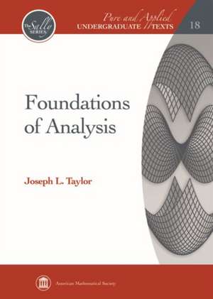 Foundations of Analysis de Joseph L. Taylor