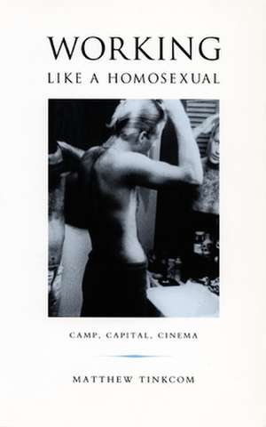 Working Like a Homosexual – Camp, Capital, Cinema de Matthew Tinkcom