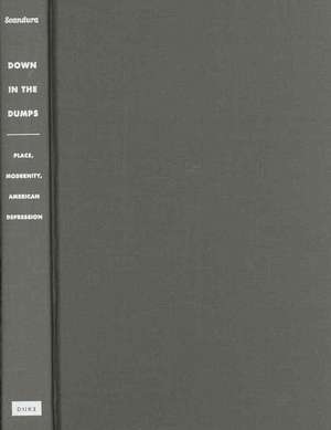 Down in the Dumps – Place, Modernity, American Depression de Jani Scandura