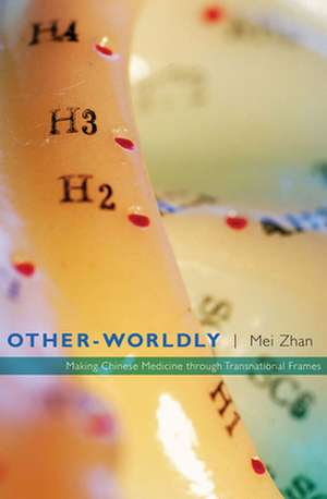 Other–Worldly – Making Chinese Medicine through Transnational Frames de Mei Zhan