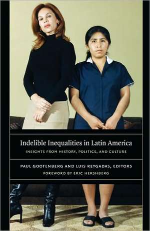 Indelible Inequalities in Latin America – Insights from History, Politics, and Culture de Luis Reygadas