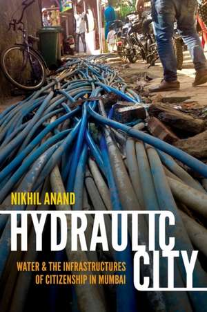 Hydraulic City – Water and the Infrastructures of Citizenship in Mumbai de Nikhil Anand