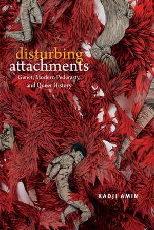 Disturbing Attachments de Kadji Amin