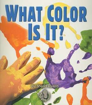 What Color Is It? de Sheila Rivera