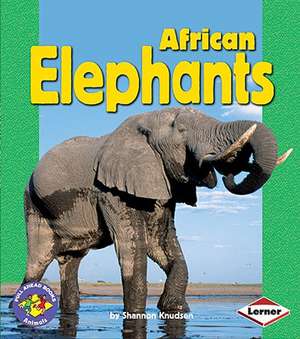 African Elephants de Shannon Knudsen