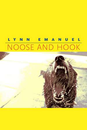 Noose and Hook de Lynn Emanuel