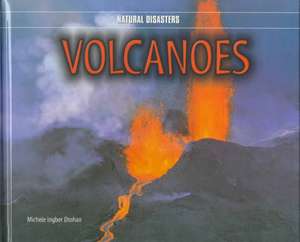 Volcanoes de Michele Ingber Drohan