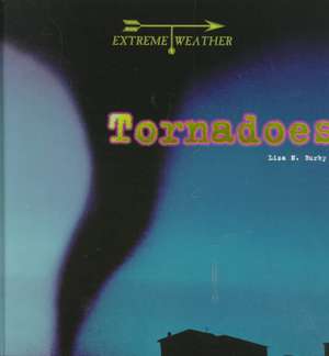 Tornadoes de Liza N. Burby