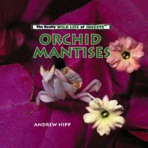 Orchid Mantises de Andrew Hipp