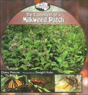 The Ecosystem of a Milkweed Patch de Elaine Pascoe