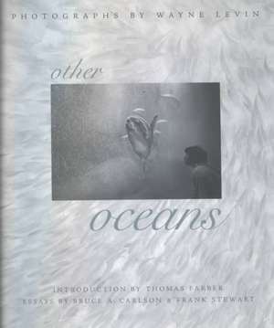 Levin: Other Oceans Cloth de Wayne Levin