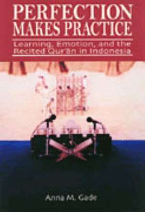 Perfection Makes Practice de Anna M Gade