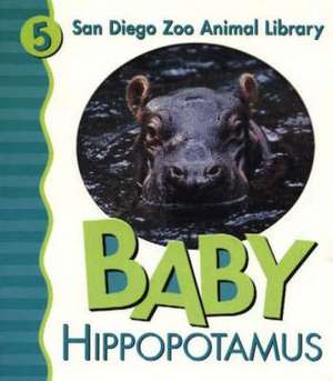 Baby Hippo San Diego Zoo: 100 Reflections on the Ways God's Love Keeps Us Growing [With Journal] de Patricia A. Pingry