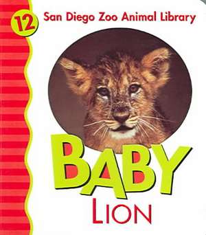 Baby Lion de Julie Shively