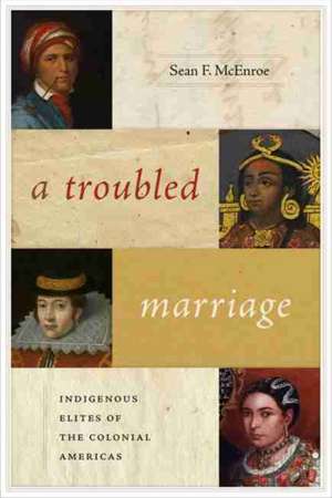 Troubled Marriage de Sean F. McEnroe