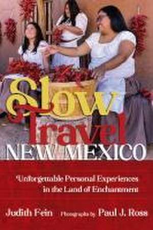 Slow Travel New Mexico de Judith Fein