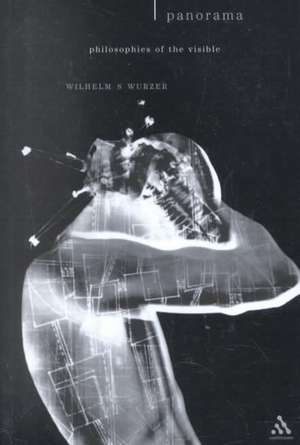 Panorama: Philosophies of the Visible de Dr Wilhelm Wurzer