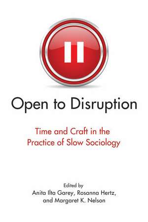 Open to Disruption: Time and Craft in the Practice of Slow Sociology de Anita Ilta Garey