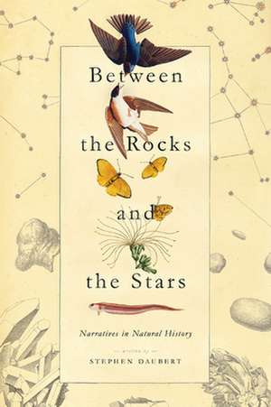 BETWEEN THE ROCKS & THE STARS de Stephen Daubert