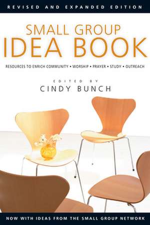 Small Group Idea Book de Cindy Bunch