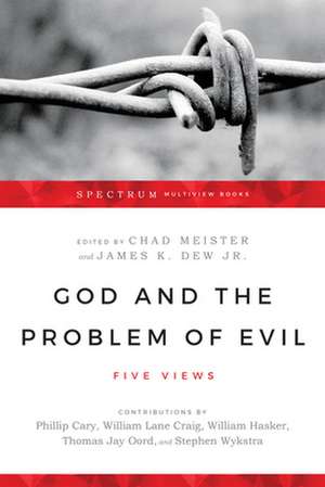 God and the Problem of Evil – Five Views de Chad Meister