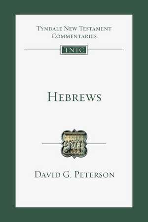 Hebrews de David G Peterson