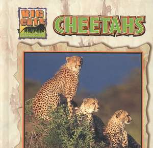 Cheetahs de Victor Gentle