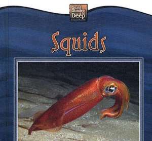 Squids de Valerie J. Weber