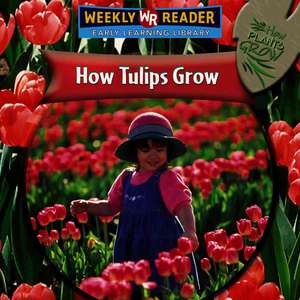 How Tulips Grow de Joanne Mattern