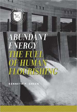 Abundant Energy de Kenneth P. Green