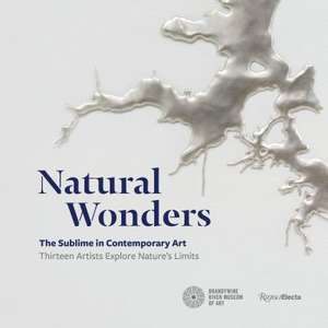 Natural Wonders: The Sublime in Contemporary Art: Thirteen Artists Explore Nature's Limits de Suzanne Ramljak