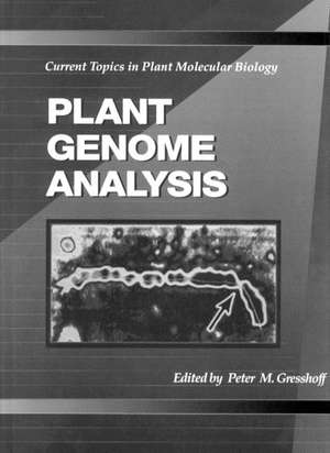 Plant Genome Analysis: Current Topics in Plant Molecular Biology de Peter M. Gresshoff