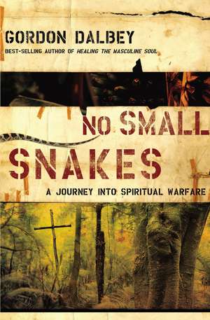 No Small Snakes: A Journey Into Spiritual Warfare de Gordon Dalbey