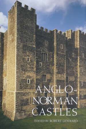 Anglo–Norman Castles de Robert E Liddiard