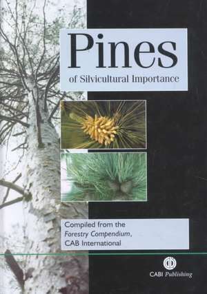 Pines of Silvicultural Importance de The The