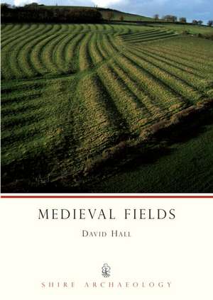 Medieval Fields de David Hall