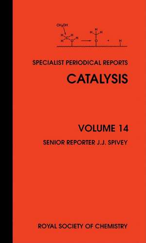 Catalysis: Volume 14 de Royal Society of Chemistry