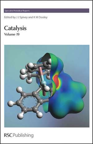 Catalysis: Volume 19 de Royal Society of Chemistry